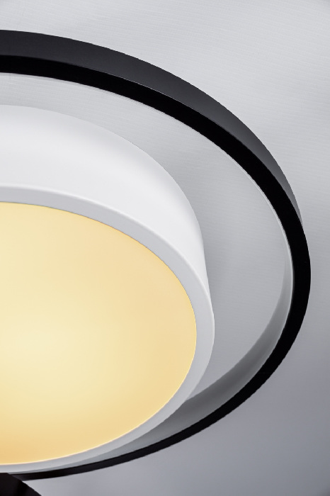 Потолочная люстра Frevoria 10243/6LED — изображение 2